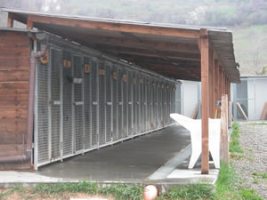 pensione_coperta