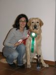 Sunny_insubria_2010