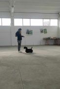 Handler febbraio