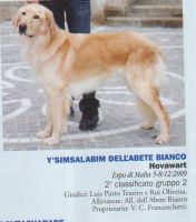 mensile_enci