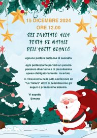 15 dicembre 2024 ore 12.00