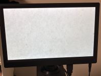 IMG 4977