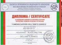 Ch_bulgaria_tata