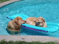 piscina-015
