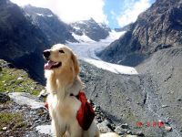 Valtellina-2008-146