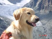 Valtellina-2008149