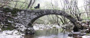 Signorina. ponte romano