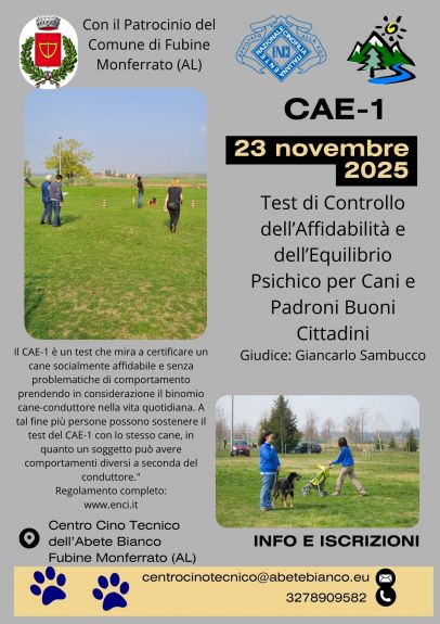 gara di 1