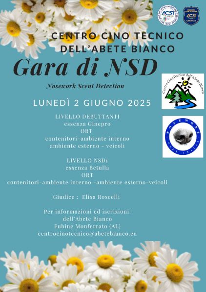 Gara  giugno 2025