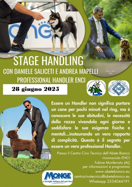 stage handling - Copia