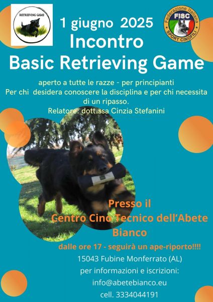 Retrivergame