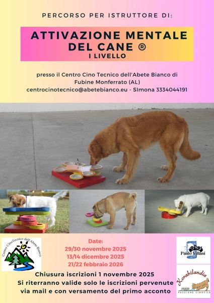 Attivazione mentale 2025