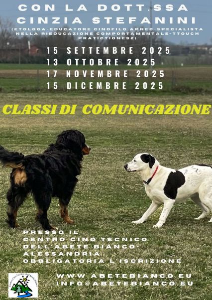 Classi sett dice 2025