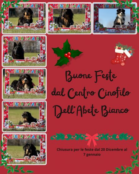 WhatsApp Image 2025-12-09 at 18.11.26