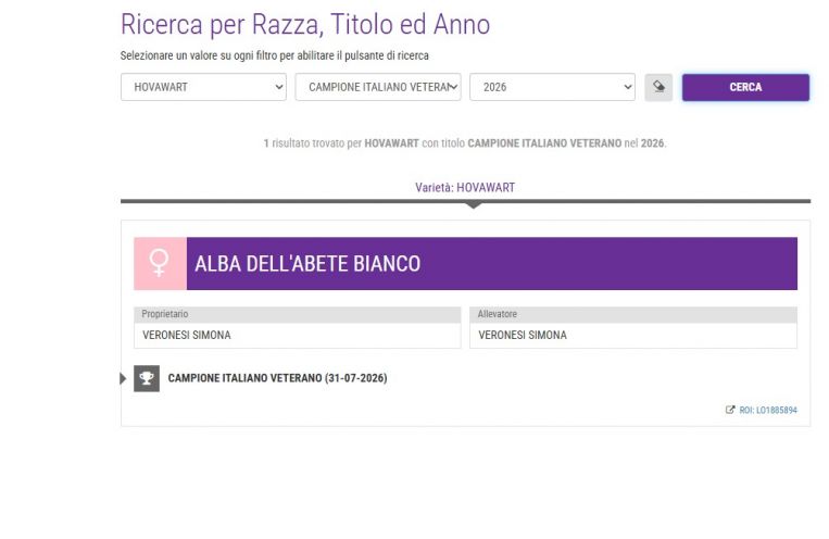 Immagine 2026-07-31 124426
